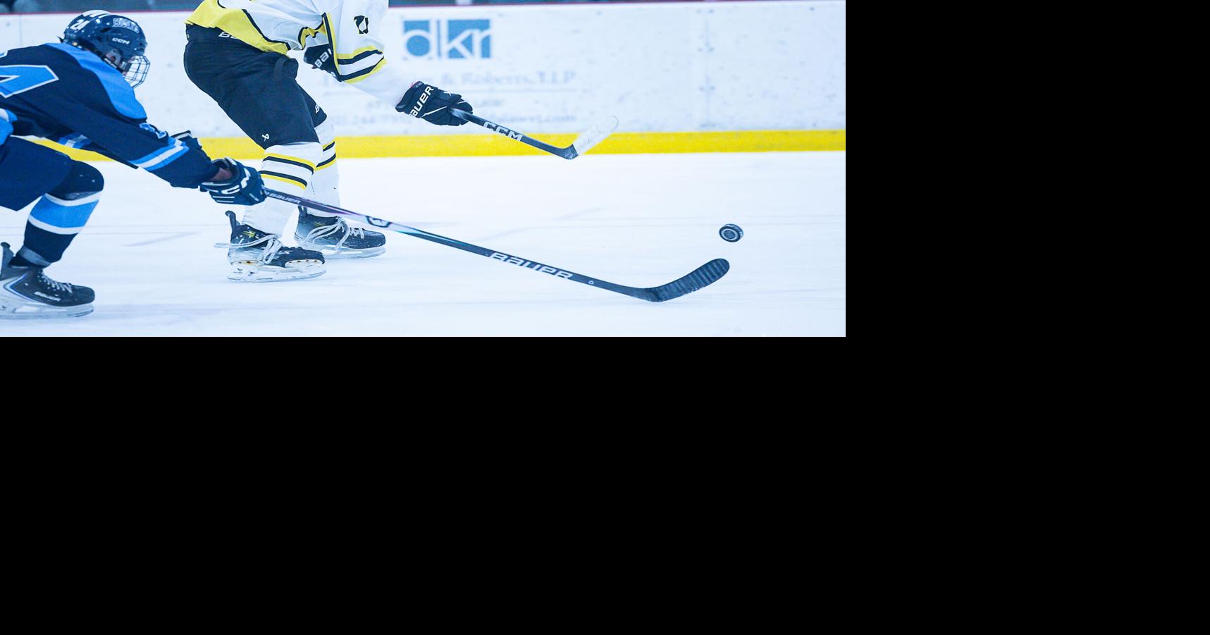 Hockey stars snag top awards | Local | timesargus.com