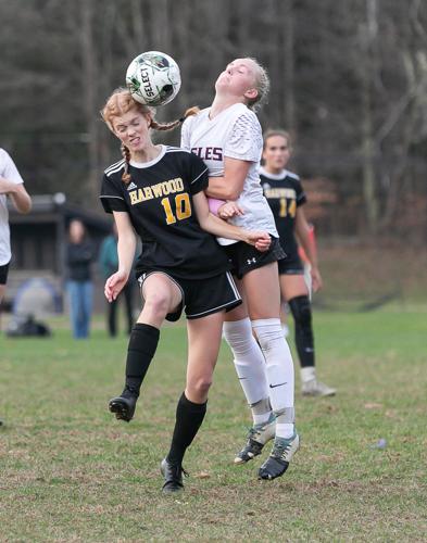 Eagles top Highlanders in shootout | Slider | timesargus.com