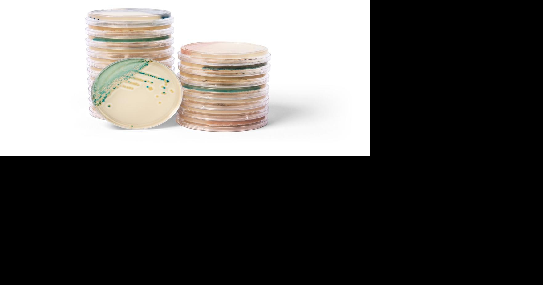 Thermo Fisher Scientific Launches New Color-Based (Chromogenic) Culture Media to Help Detect Candida Infections Faster*, Including Drug-Resistant Candida auris