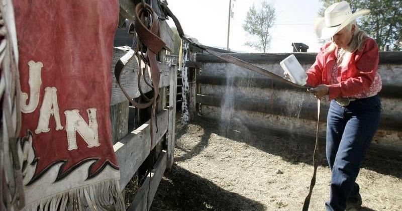 For cowgirl and rodeo champ at 64, retirement chafes like a flank strap ...