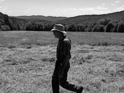 Haying delayed for grassland birds