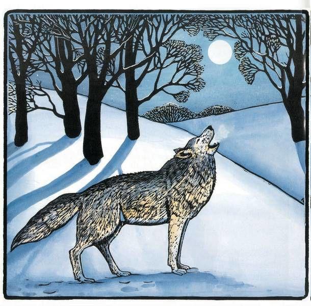 Wolves Vermont Storytellers Dispel The Myths And Offer New Ones Timesargus Com