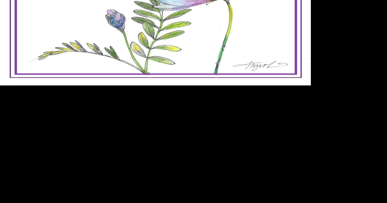 The Outside Story: Jesup’s milk-vetch, a rare beauty | Weekend Magazine ...