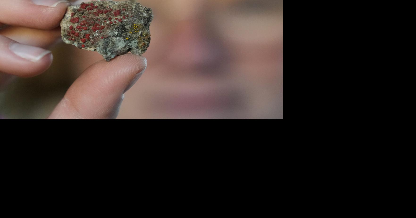 Climate Fungi Conservation