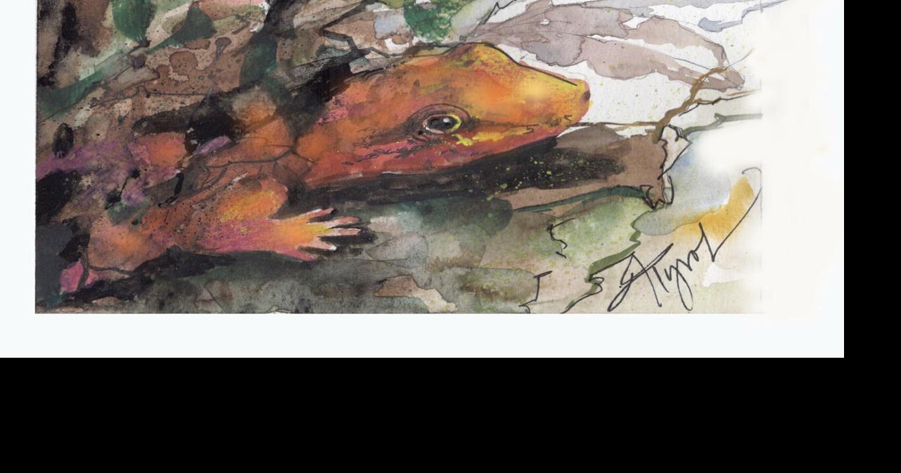 The Outside Story: Lengthening days of spring