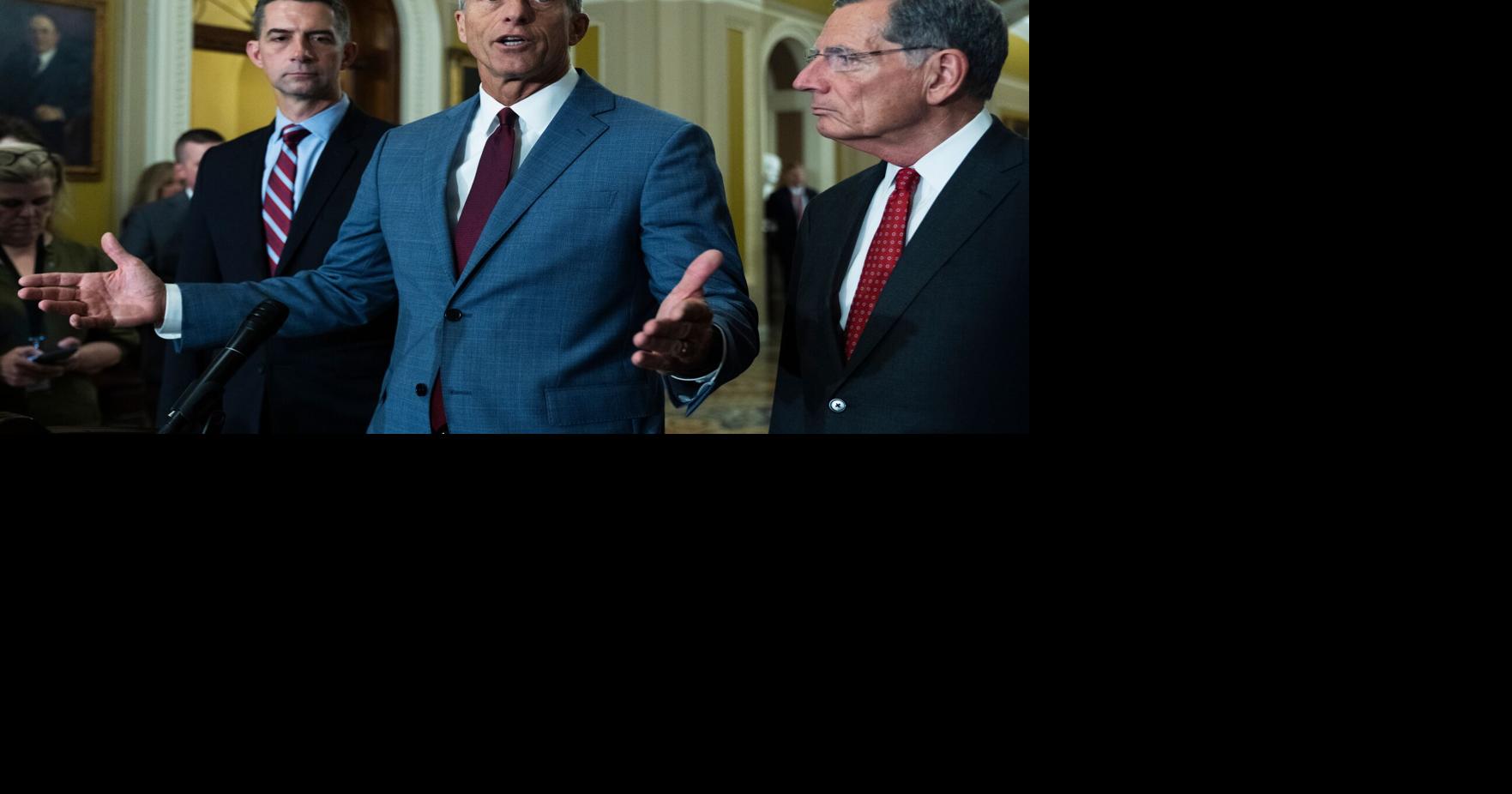 Senate Republicans