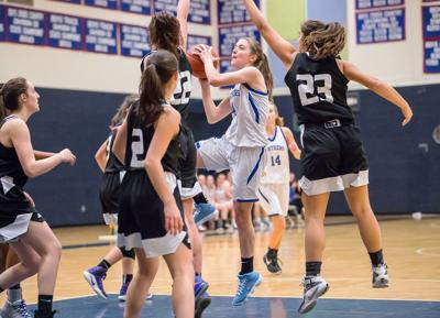 Vpa Cancels Remainder Of Basketball Tourney Sports Timesargus Com