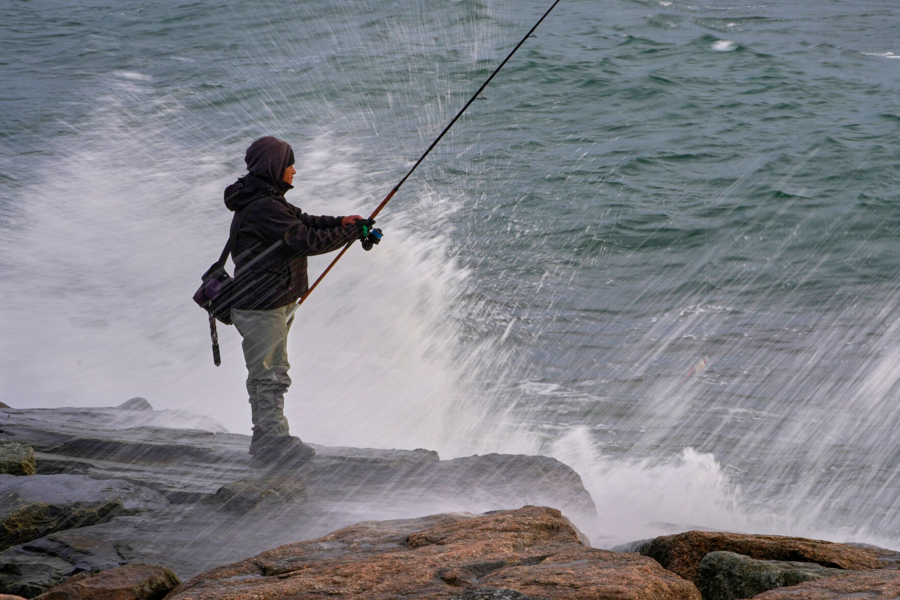 Saving Striped Bass | National | timesargus.com