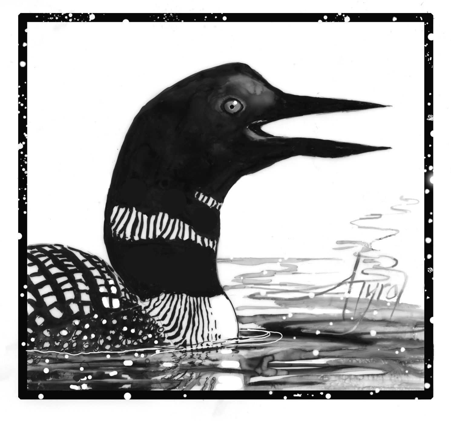 Loon Magazine The Outside Story: The language of the loon | Weekend Magazine ...