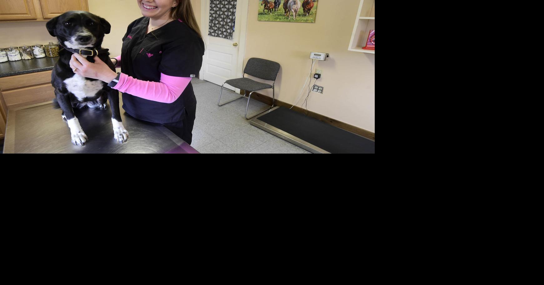 Capital City veterinary clinic 2.0 Local News