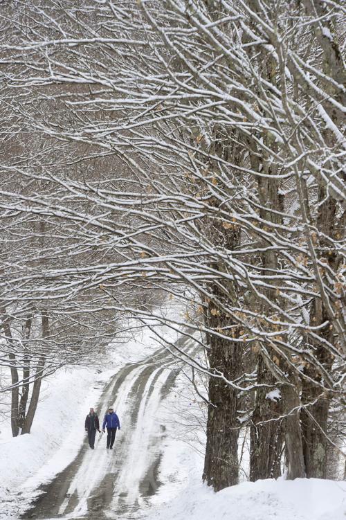 fading winter