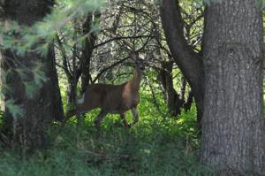 Sports / Outdoor - Oct 29, 2026