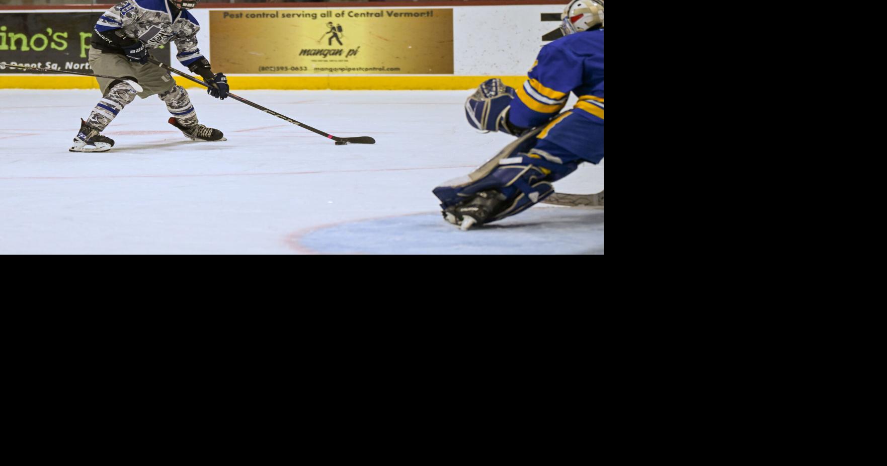 U-32 punches ticket to boys hockey final | Local | timesargus.com