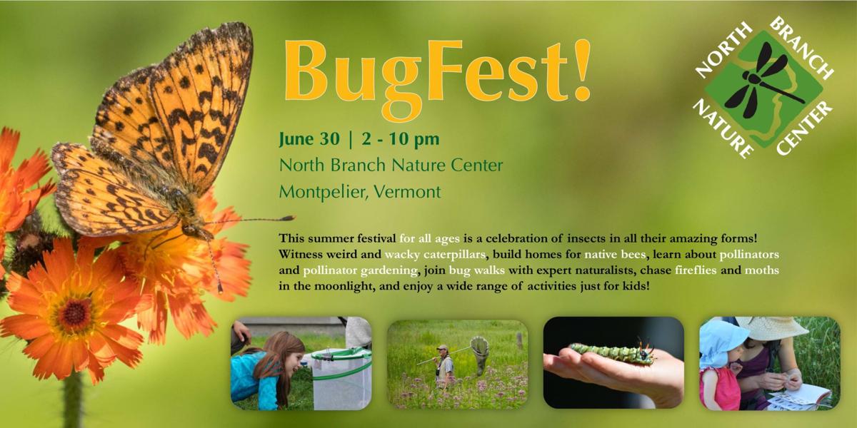 BugFest! Calendar