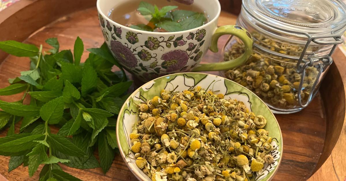 A soothing cup of herbal tea can begin in your garden | Ap | timesargus.com