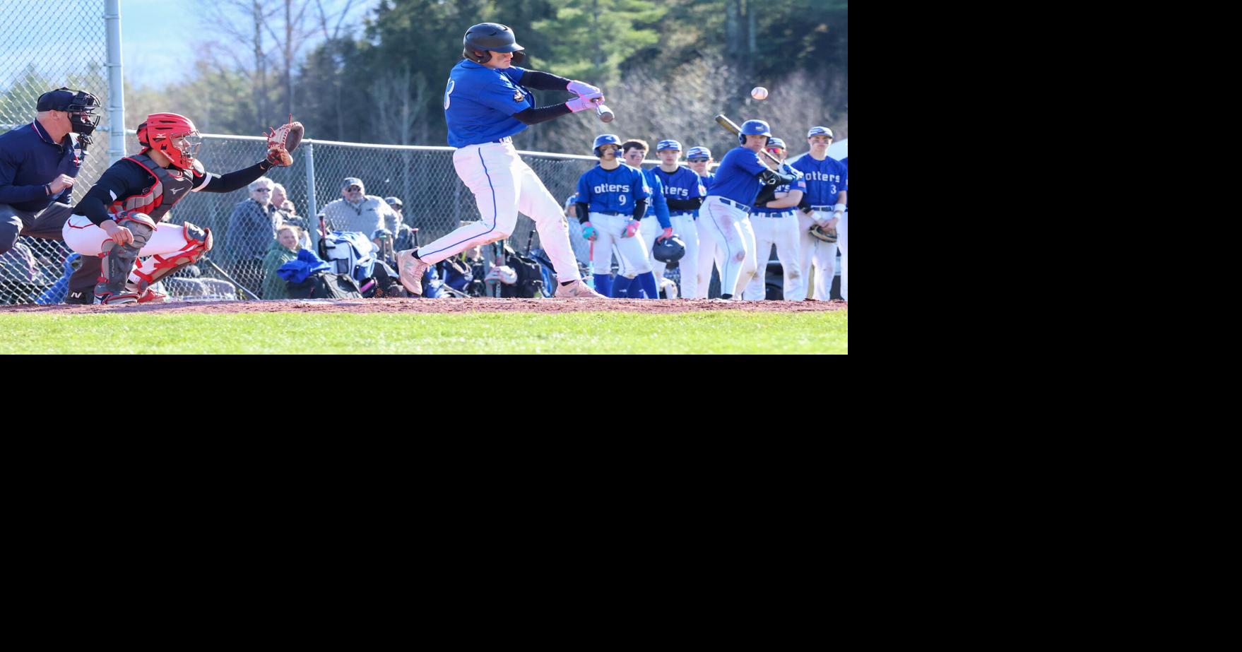 Division II baseball filled with depth | Local | timesargus.com