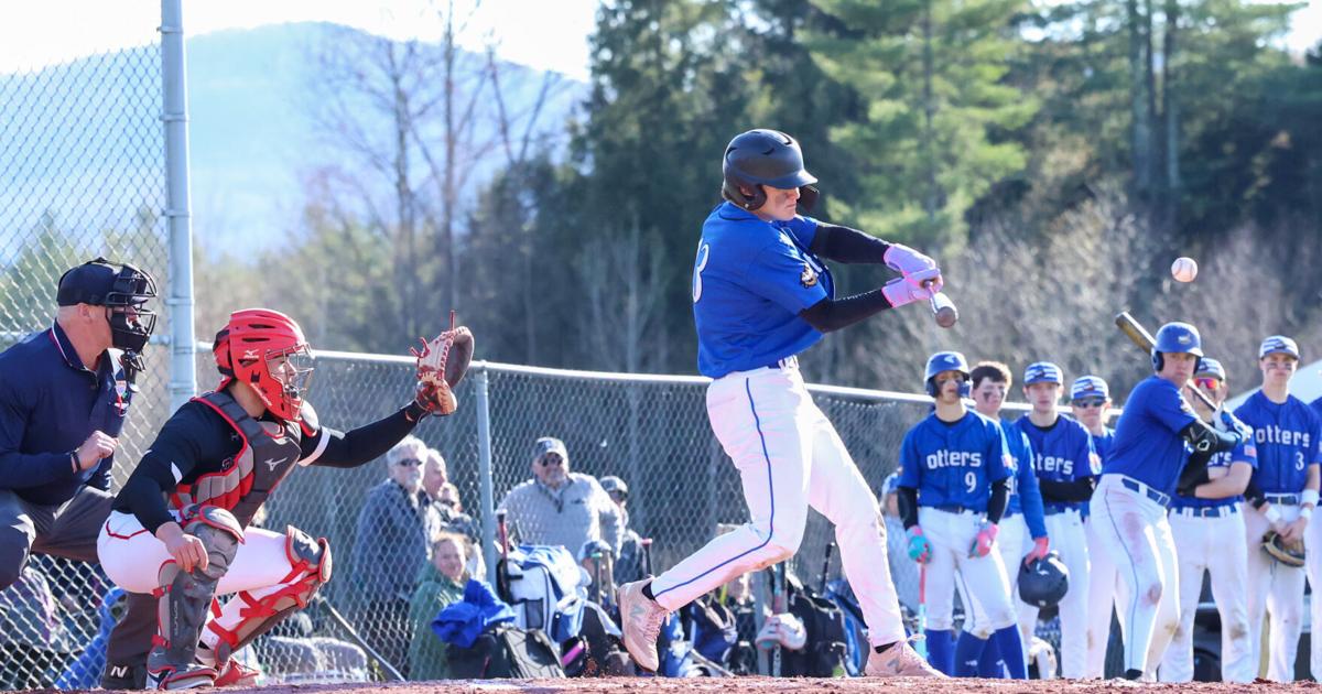 S2 Baseball Division II baseball filled with depth | Local | timesargus.com