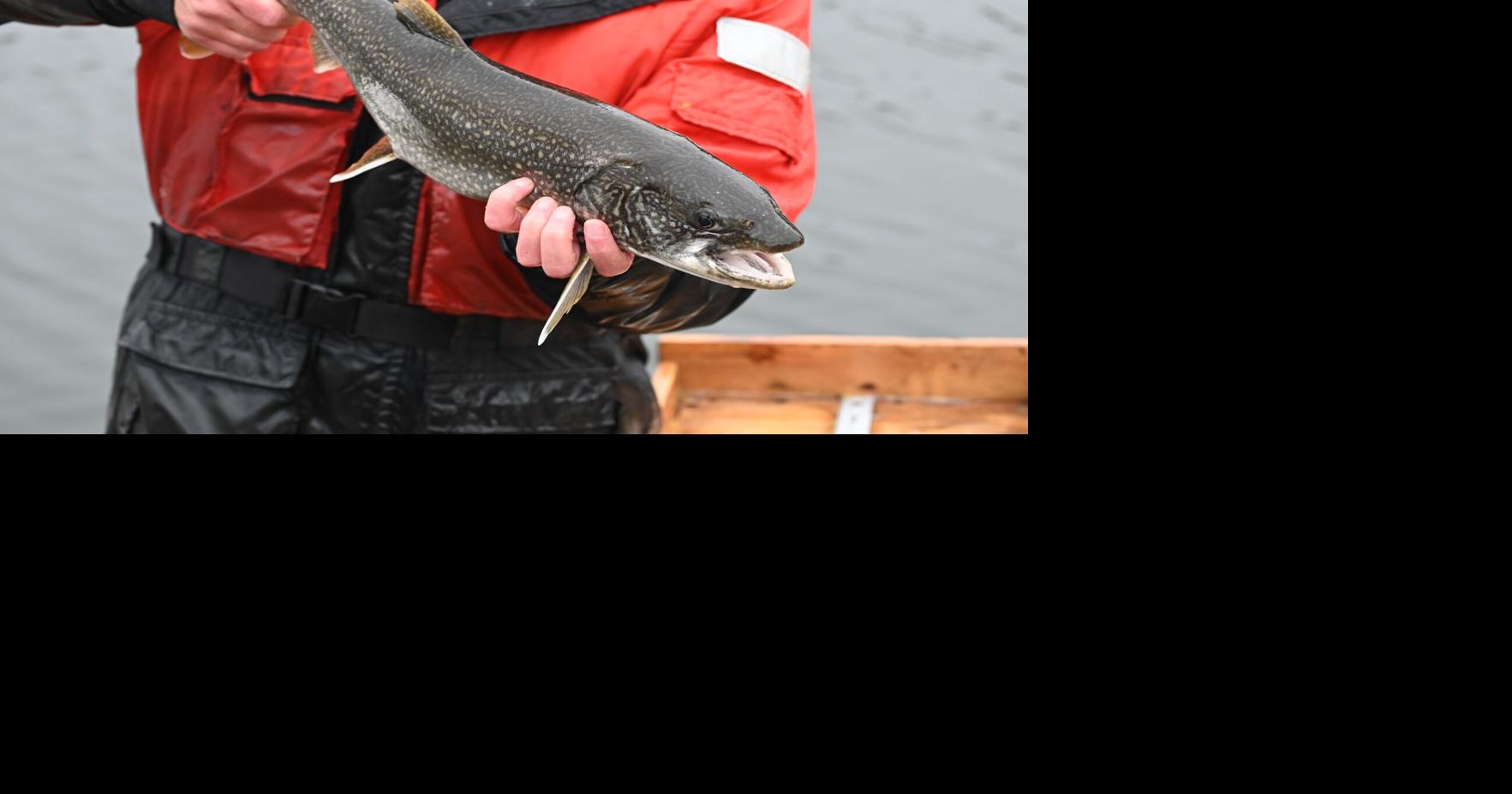 Times Argus Community News for March 20, 2026