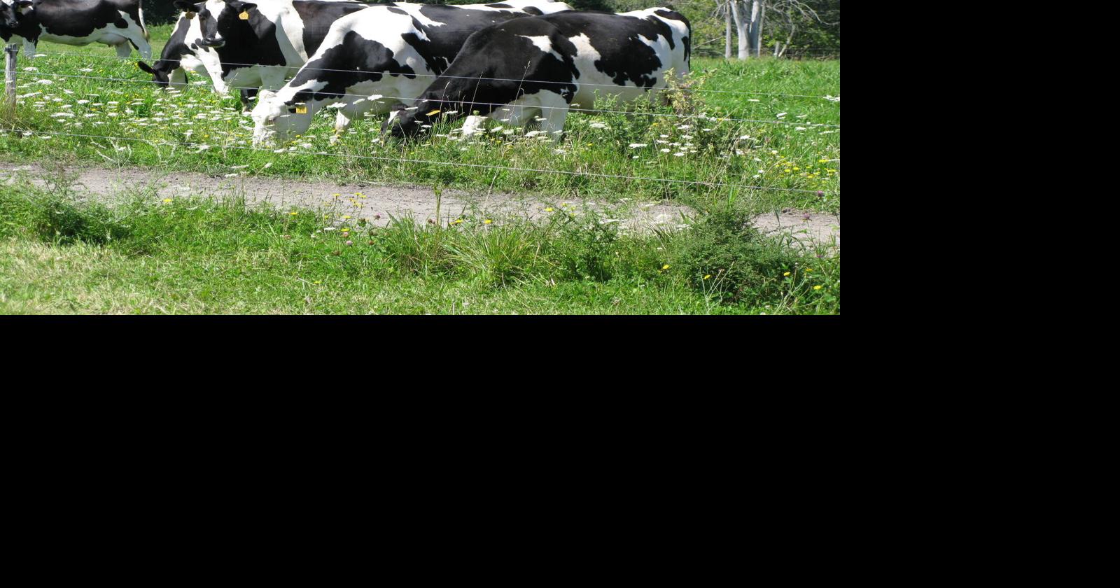 Business Briefs for Saturday, Feb. 28, 2026 | Local News