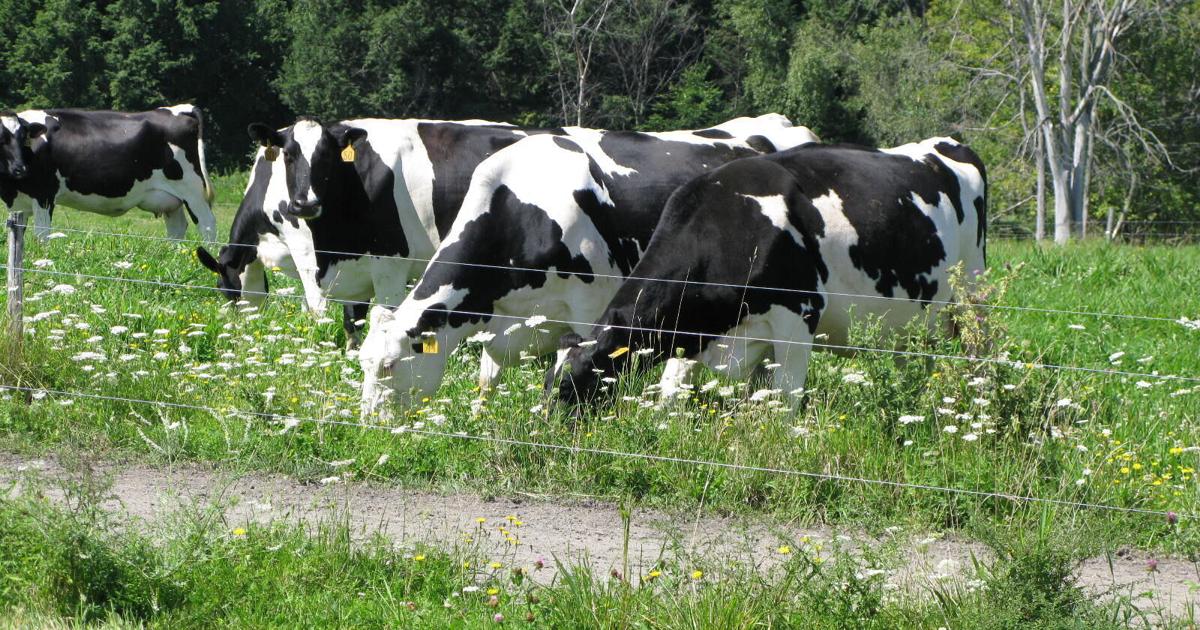 Business Briefs for Saturday, Feb. 28, 2026 | Local News Business Briefs for Saturday, Feb. 28, 2026 | Local News