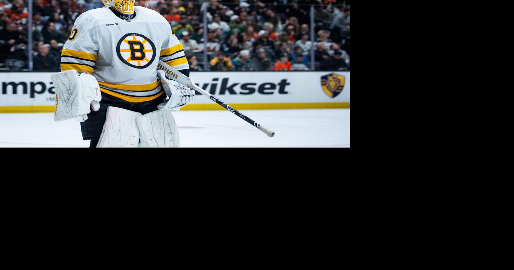 Boston Bruins Hockey