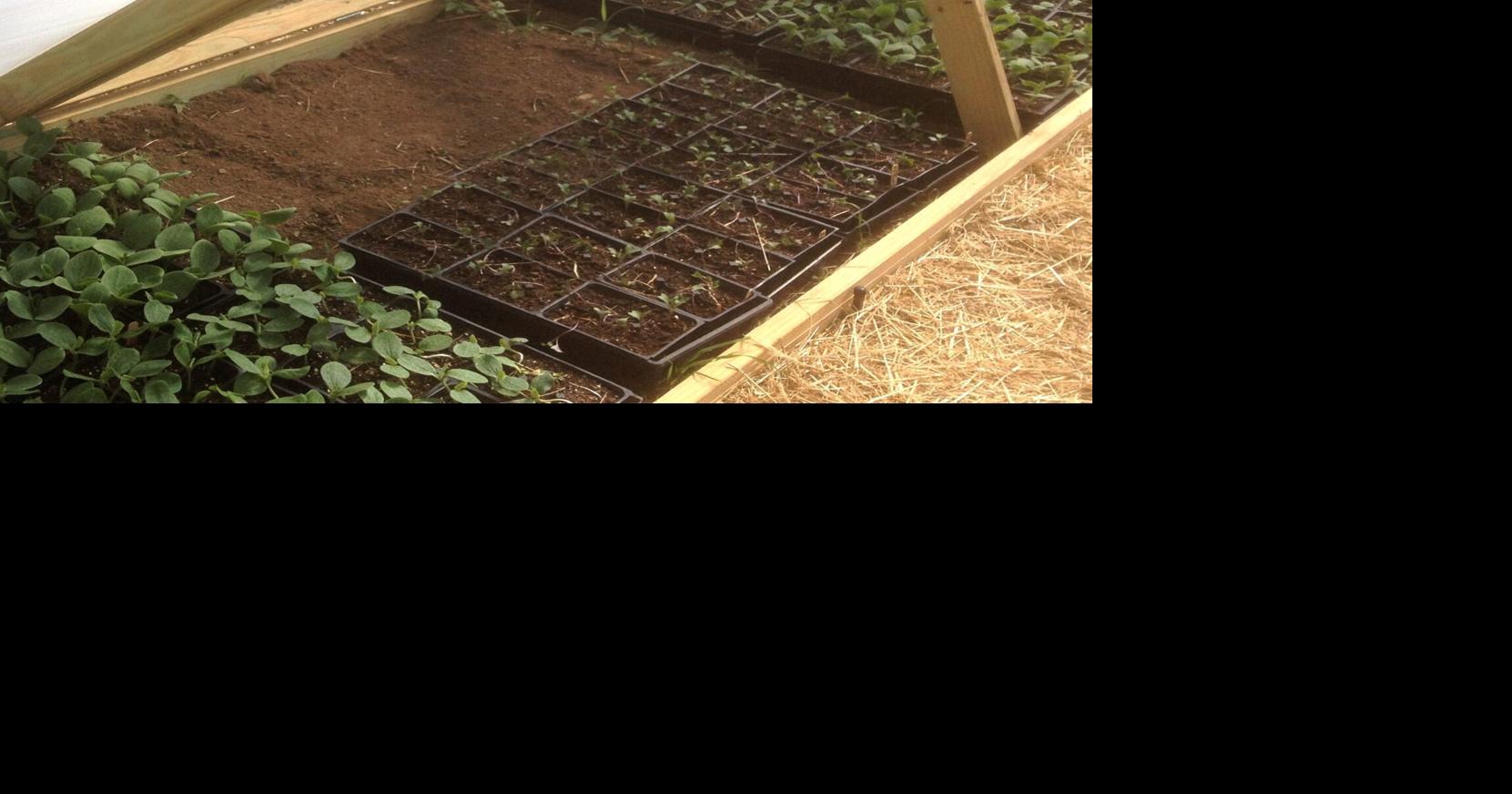 Gardening Briefs - Oct 22, 2026