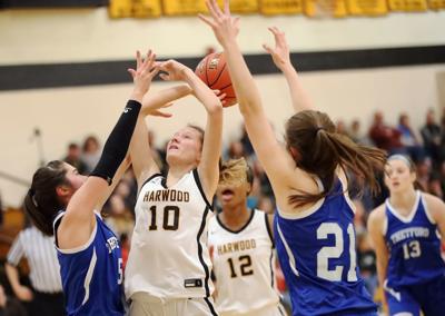 Contenders Lining Up In D Ii Girls Basketball Sports
