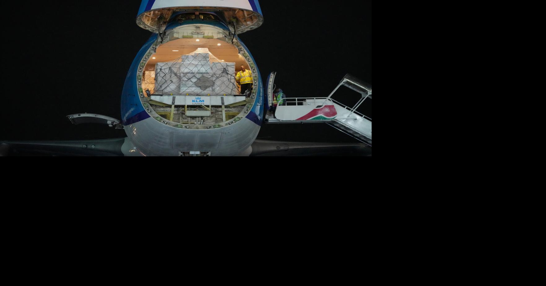 CORRECTION Kenya Mountain Bongos