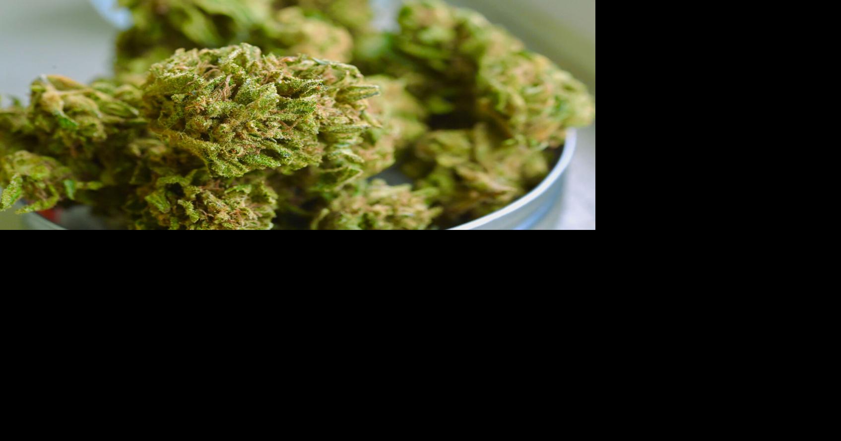 What’s in the cannabis plant?