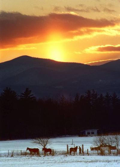Plants Connect Us With The Winter Solstice The Shortest Day News Timesargus Com