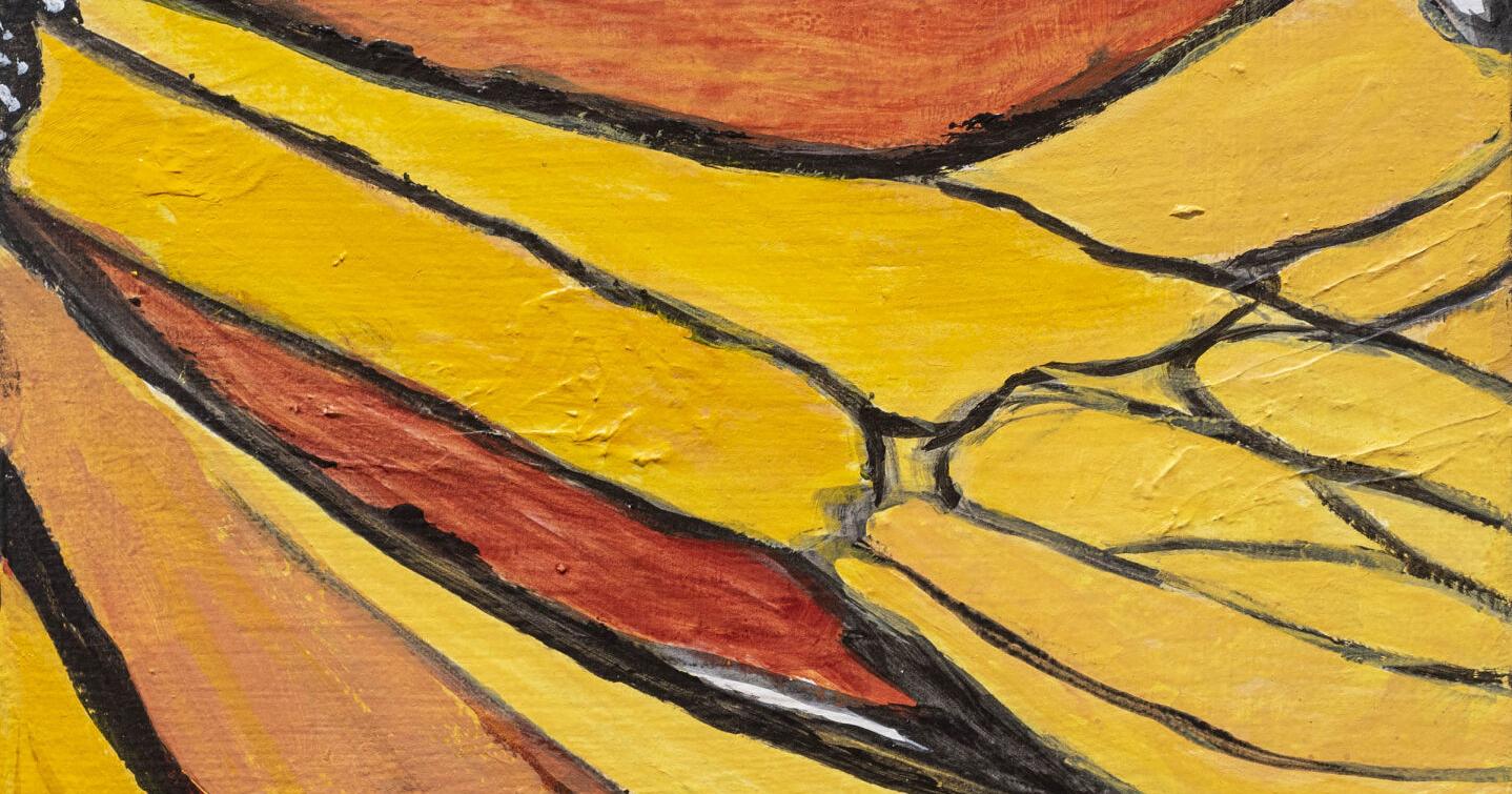 'You're Absolutely Spineless': No backbone for 27 of region's artists | Vermont Arts - Vimarsana News