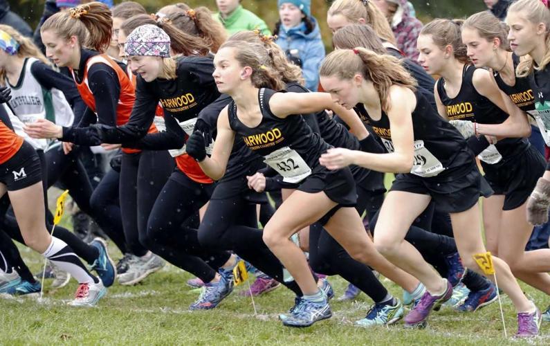 Harwood #39 s Thurston raises the bar Local timesargus com