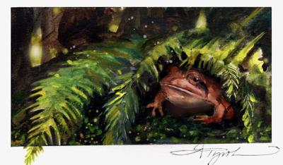 Adam Rourke Frogs The Outside Story: Why did the frog cross the road? | Weekend Magazine ...