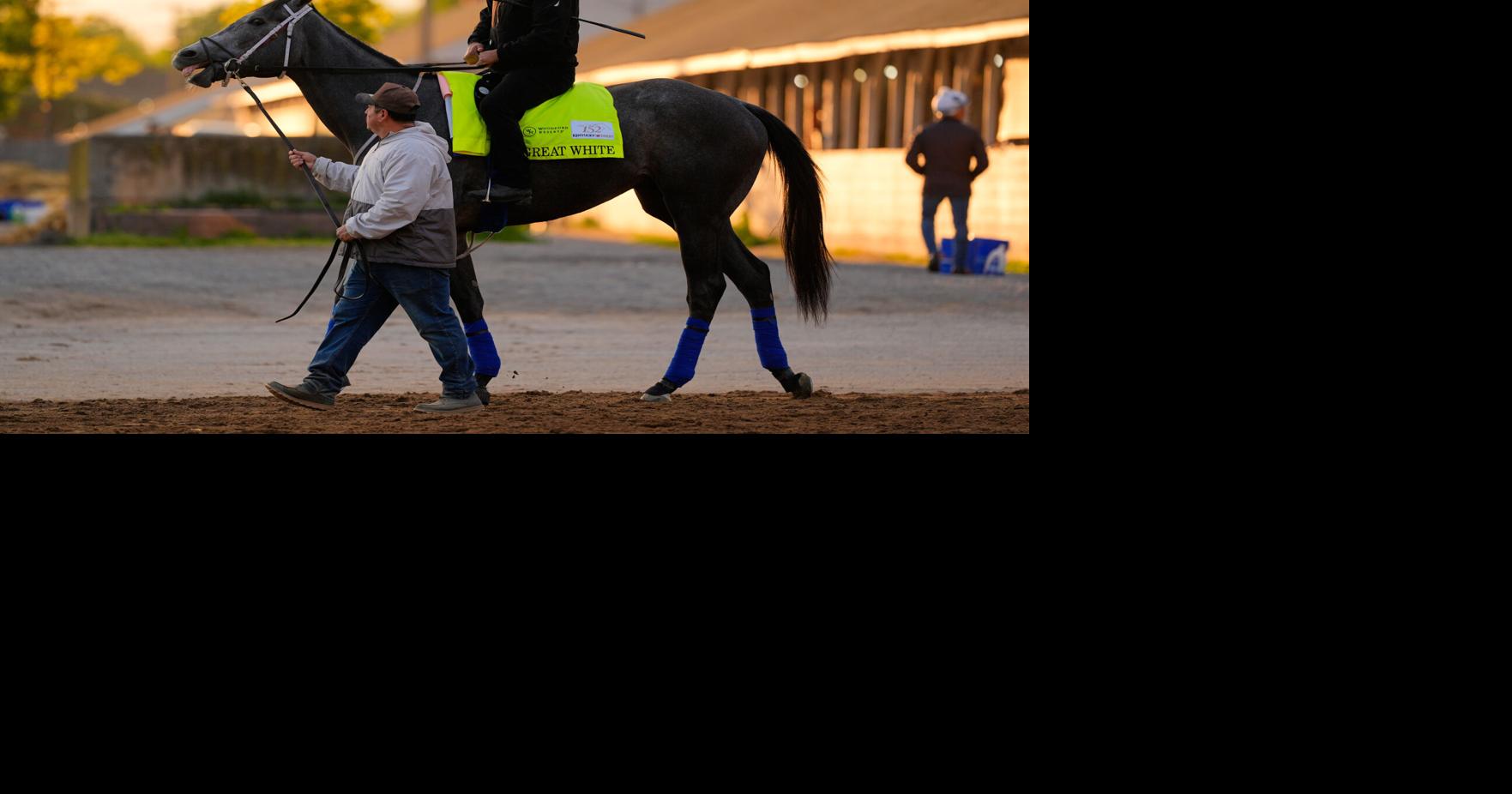 Great White is fine after throwing his jockey and getting scratched late from the Kentucky Derby