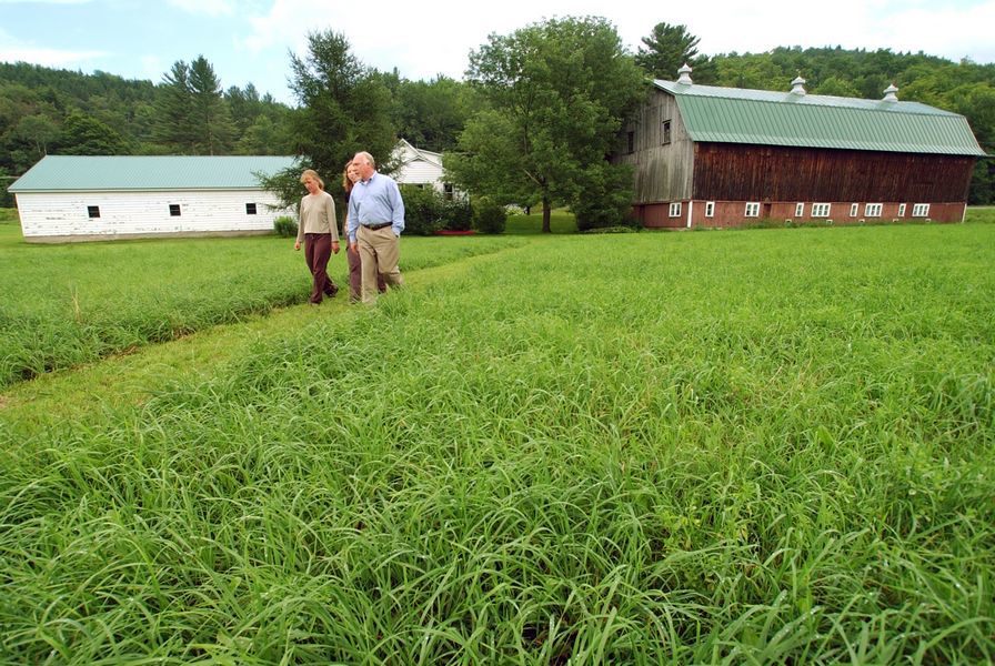 Vt Foodbank Buys Landmark Farm In Warren News Timesargus Com