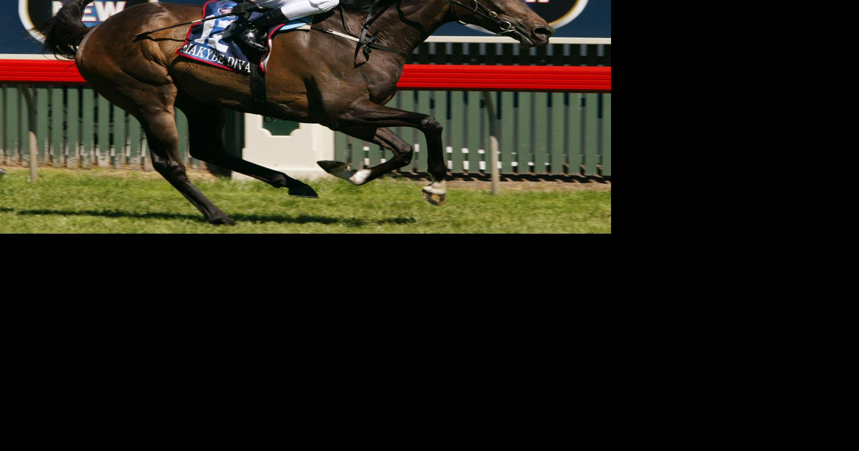 Australia Makybe Diva Death