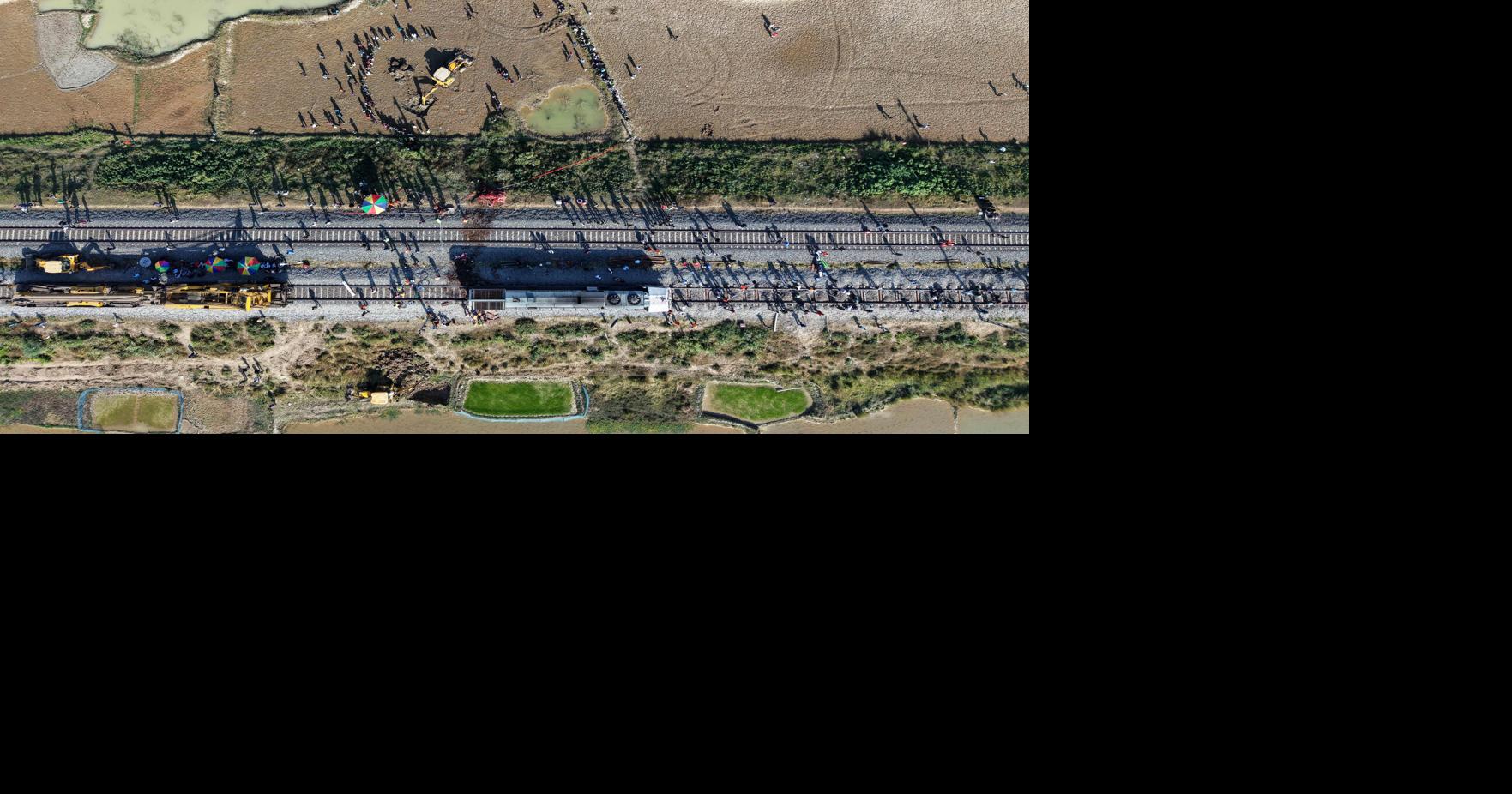 India Elephants Accident