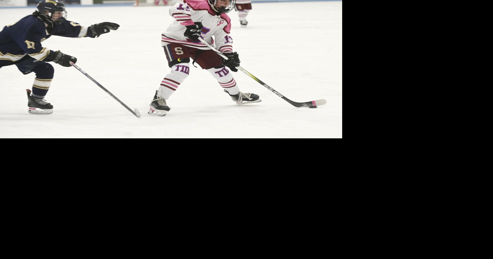 Roundup: Top hockey seniors earn All-Star honors | Local | timesargus.com