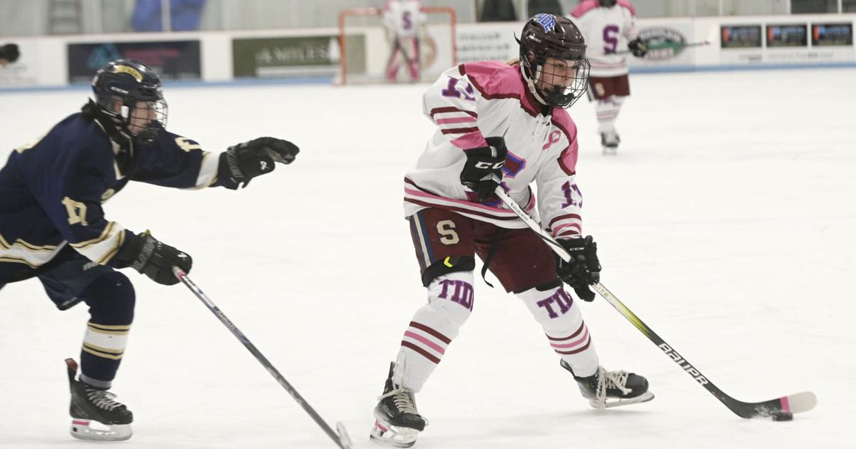 Morgan Rothstein Roundup: Top hockey seniors earn All-Star honors | Local | timesargus.com