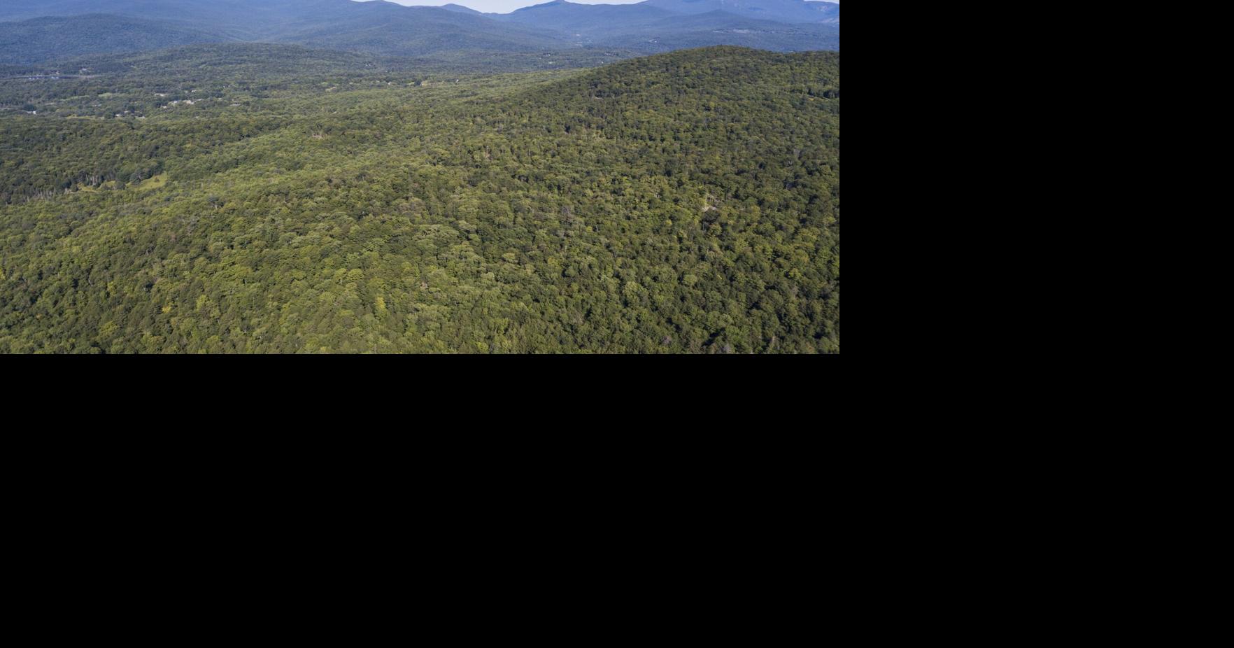 Times Argus Community News for Feb. 10, 2026