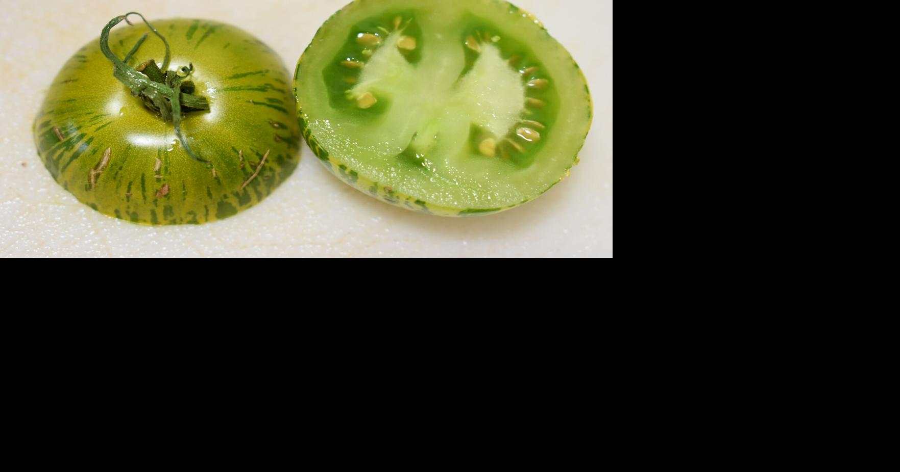 Gardening - Tomatoes