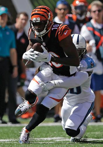 Daltons Td Catch Leads Bengals State National Sports 9247