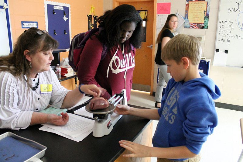 TCMS students discover anatomy of mammal heart | Education