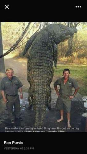 This 14-foot alligator may be the biggest one ever caught in Georgia