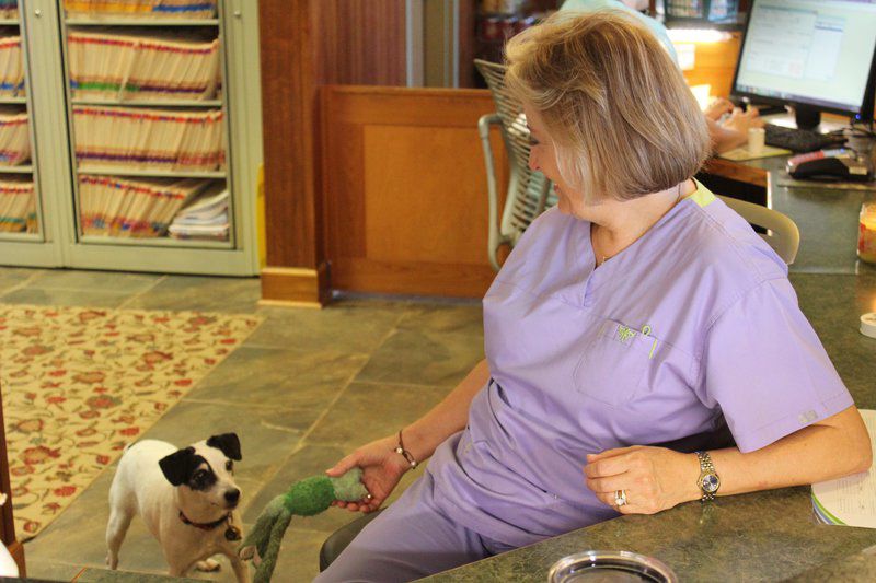 Jan Wilford retires after 30 years at Thomasville Animal Hospital