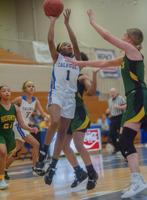 Lady Tigers win convincingly over UHA
