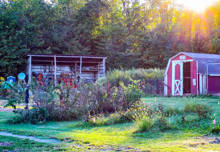 Trimble Farms a homestead and diversified small farm News