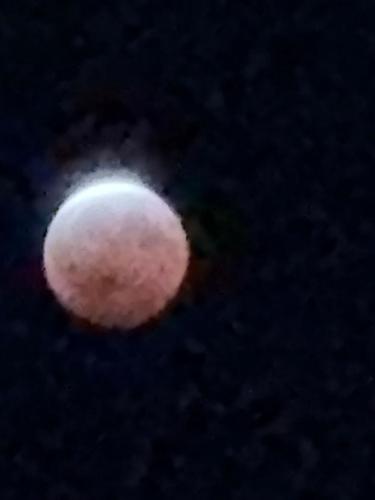 The Lunar Eclipse across the region | News | timesleader.net