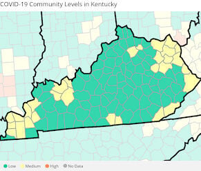 CDC says no Ky. counties at high risk of COVID; state planning moves to ...