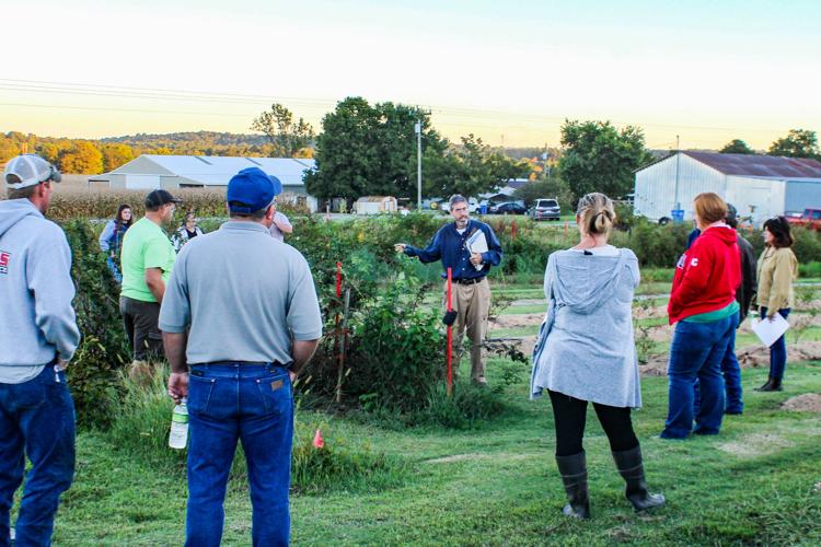 Trimble Farms a homestead and diversified small farm News